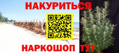 гидра Брянск
