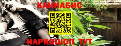 гидра Брянск