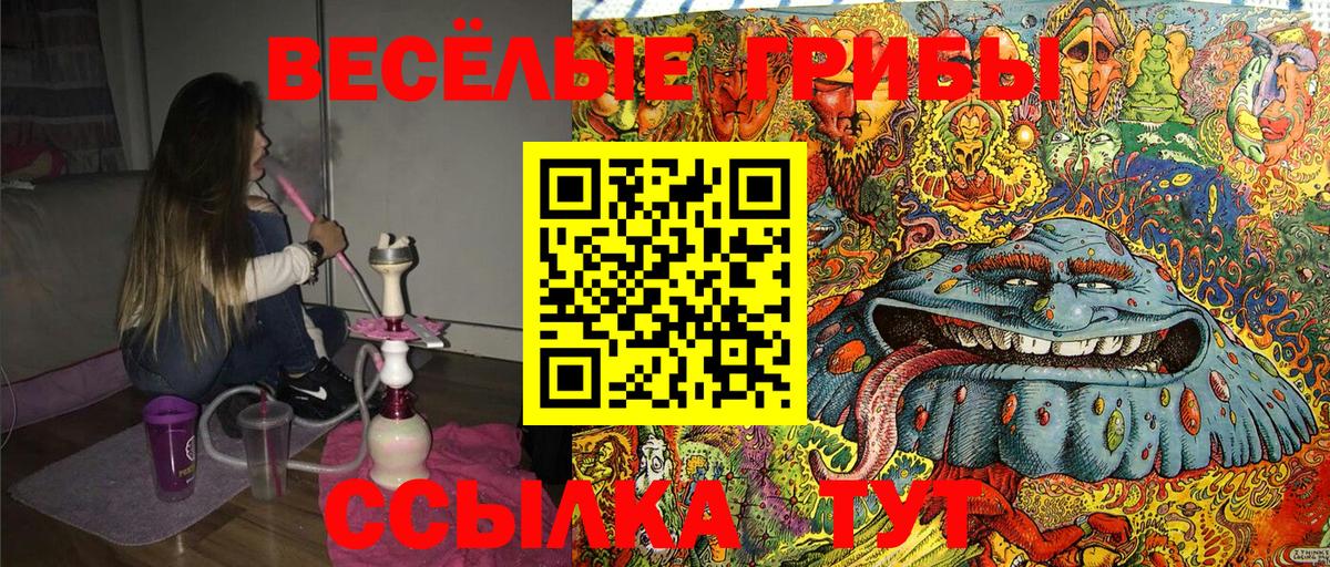 Зима  Псилоцибиновые грибы GOLDEN TEACHER  Вход с VPN 