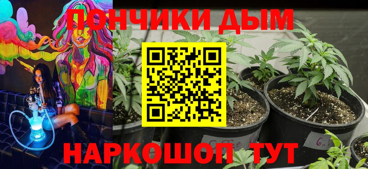 Канабис конопля  Канабис планчик  Каннабис Ganja  Вход с VPN  Каннабис Amnesia  Зима 